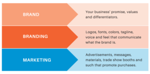 Understanding the 4 Key Steps to Brand Development: Brief Guide