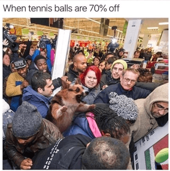 Funny black friday meme