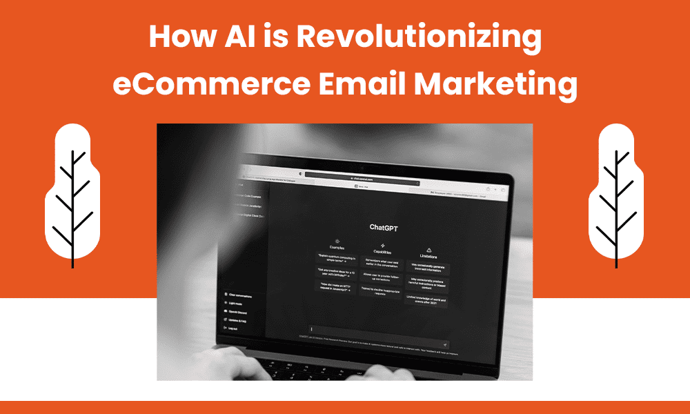 ai-ecommerce-email-marketing