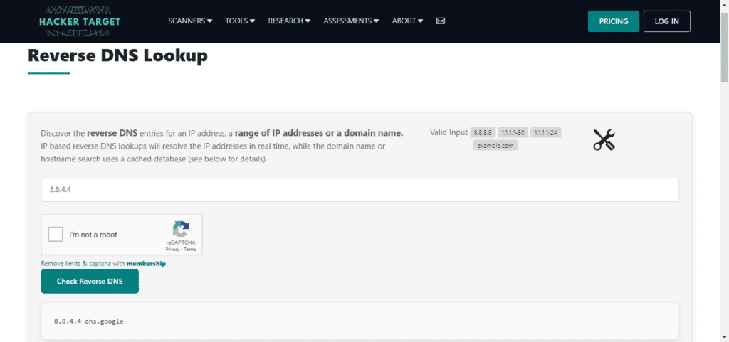 Reverse DNS Lookup: Complete Guide for Small Businesses