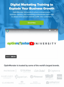 optinmonster-sales-page