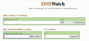 Check DNS Record